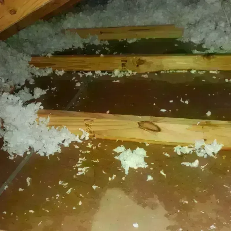 Attic Water Damage in Leakesville, MS